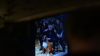 HNK Zagreb: Komemoracija za Massima Savića