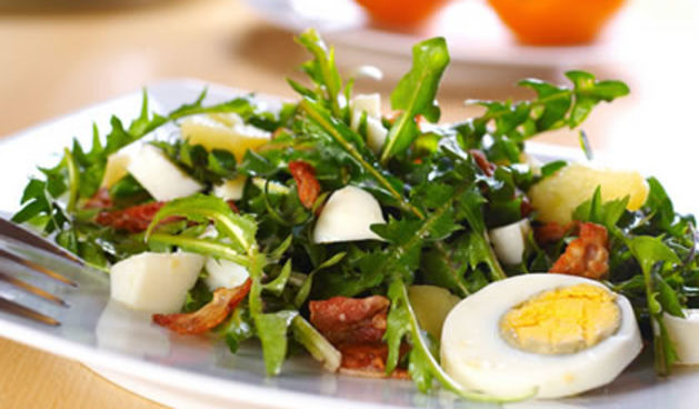 Salata (Fitness.com.hr)