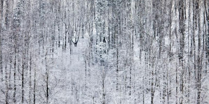 Gorski Kotar – Nakon, za ovo doba godine ugodnih i toplih dana, u jutarnjim satima Gorski Kotar zabijelio je snijeg. Photo: Nel Pavletic/PIXSELL Autor Nel Pavletic/PIXSELL Ključne riječi Gorski kotar, snijeg, zima, vrijeme, Gorski Kotar – Nakon, za ovo doba godine ugodnih i toplih dana, u jutarnjim satima Gorski Kotar zabijelio je snijeg. Photo: Nel Pavletic/PIXSELL Autor Nel Pavletic/PIXSELL Ključne riječi Gorski kotar, snijeg, zima, vrijeme,