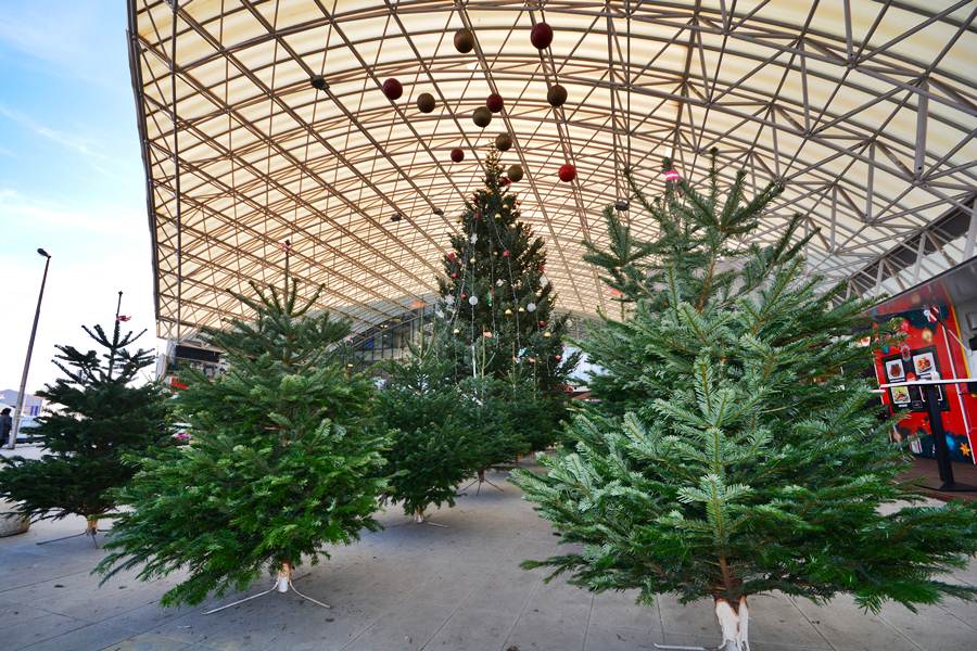 City Gallerija priredila Božićni sajam, Foto: Iva Perinčić City Gallerija priredila Božićni sajam, Foto: Iva Perinčić