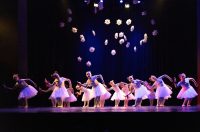 Plesna čestitka 2025.