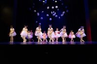 Plesna čestitka 2025.