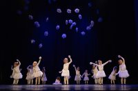 Plesna čestitka 2025.