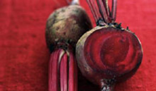 cikla (foto: www.gospodarski-list.hr)