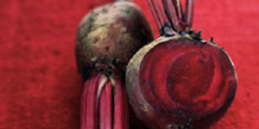 cikla (foto: www.gospodarski-list.hr)