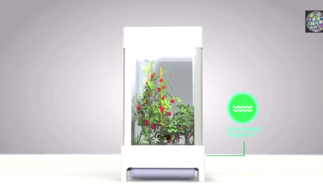 uzgoj, foto:medicaldaily.com