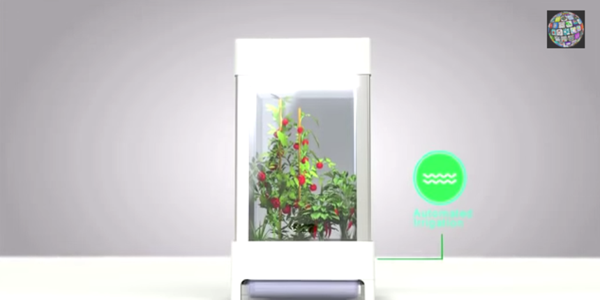 uzgoj, foto:medicaldaily.com