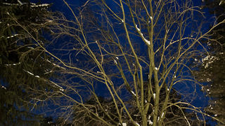 Noćni đir po Višnjiku, Foto: Anđelo Virag