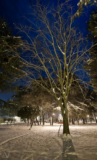 Noćni đir po Višnjiku, Foto: Anđelo Virag