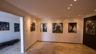 Biograd na moru: Otvorena izložba fotografija “Lunjske masline” Biograd na moru: Otvorena izložba fotografija “Lunjske masline”