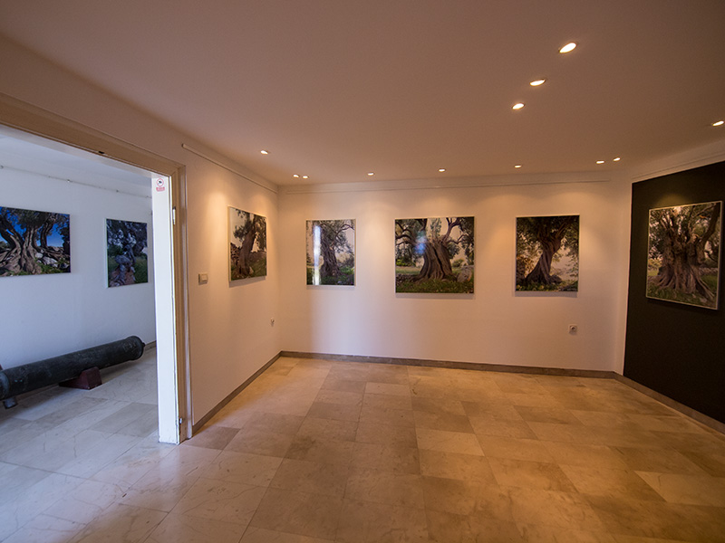 Biograd na moru: Otvorena izložba fotografija “Lunjske masline” Biograd na moru: Otvorena izložba fotografija “Lunjske masline”