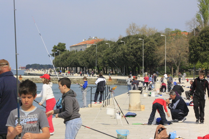6. Kup Zadarske zupanije u sportskom ribolovu, Foto: Mladen Malik 6. Kup Zadarske zupanije u sportskom ribolovu, Foto: Mladen Malik