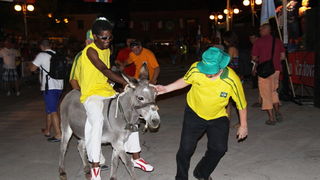 Image 1089003 (auto)