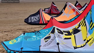 Kiteri guštali u refulima ninske bure Kiteri guštali u refulima ninske bure