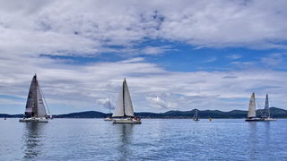 Image 441227 (auto) Image 441227 (auto)