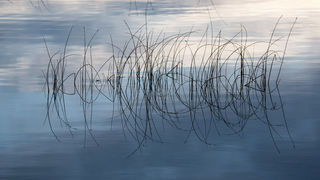 Čarobno jutro na Vranskom jezeru Čarobno jutro na Vranskom jezeru