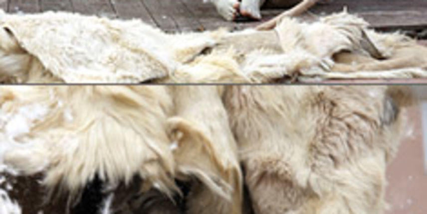 Benas Sarka performans (Foto:http://www.unidram.) Benas Sarka performans (Foto:http://www.unidram.)