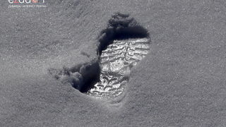 Tulove grede pod snježnim pokrivačem Tulove grede pod snježnim pokrivačem