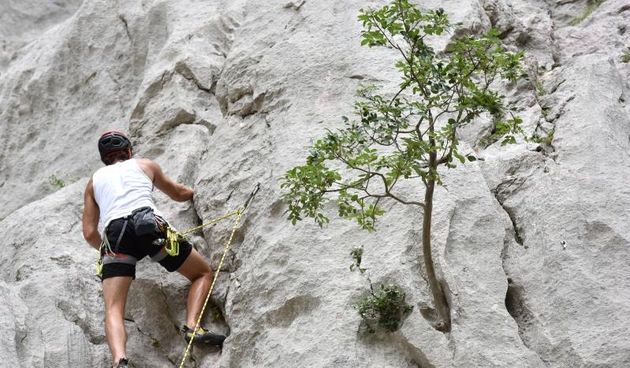 Kanjon Paklenice prepun je posjetitelja i penjača. Photo: Dino Stanin/PIXSELL