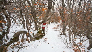 Đir do vrha Zečjak na sjevernom Velebitu, Foto: Leo Banić