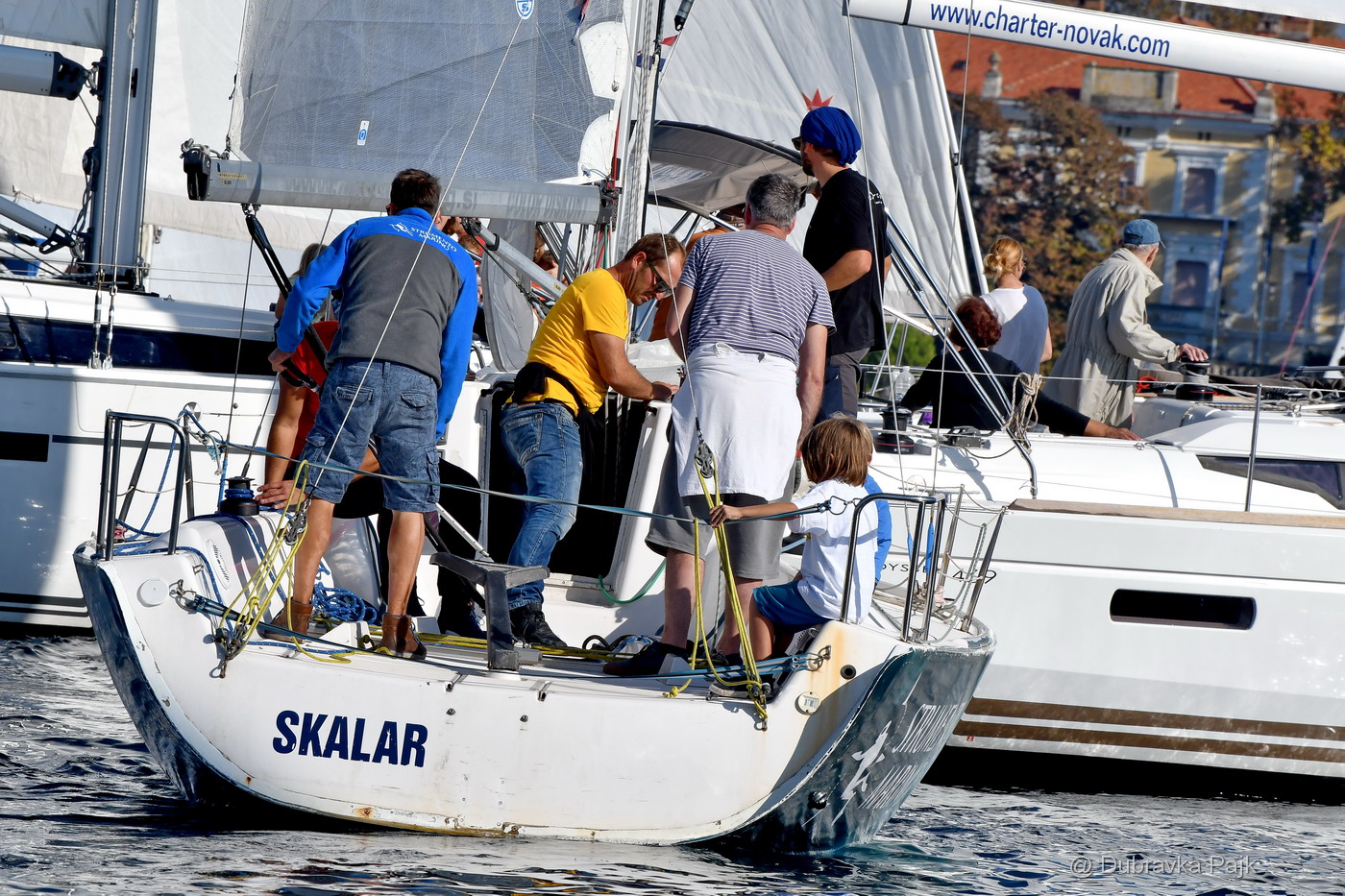 Sva lica “Zadarske koke” Sva lica “Zadarske koke”