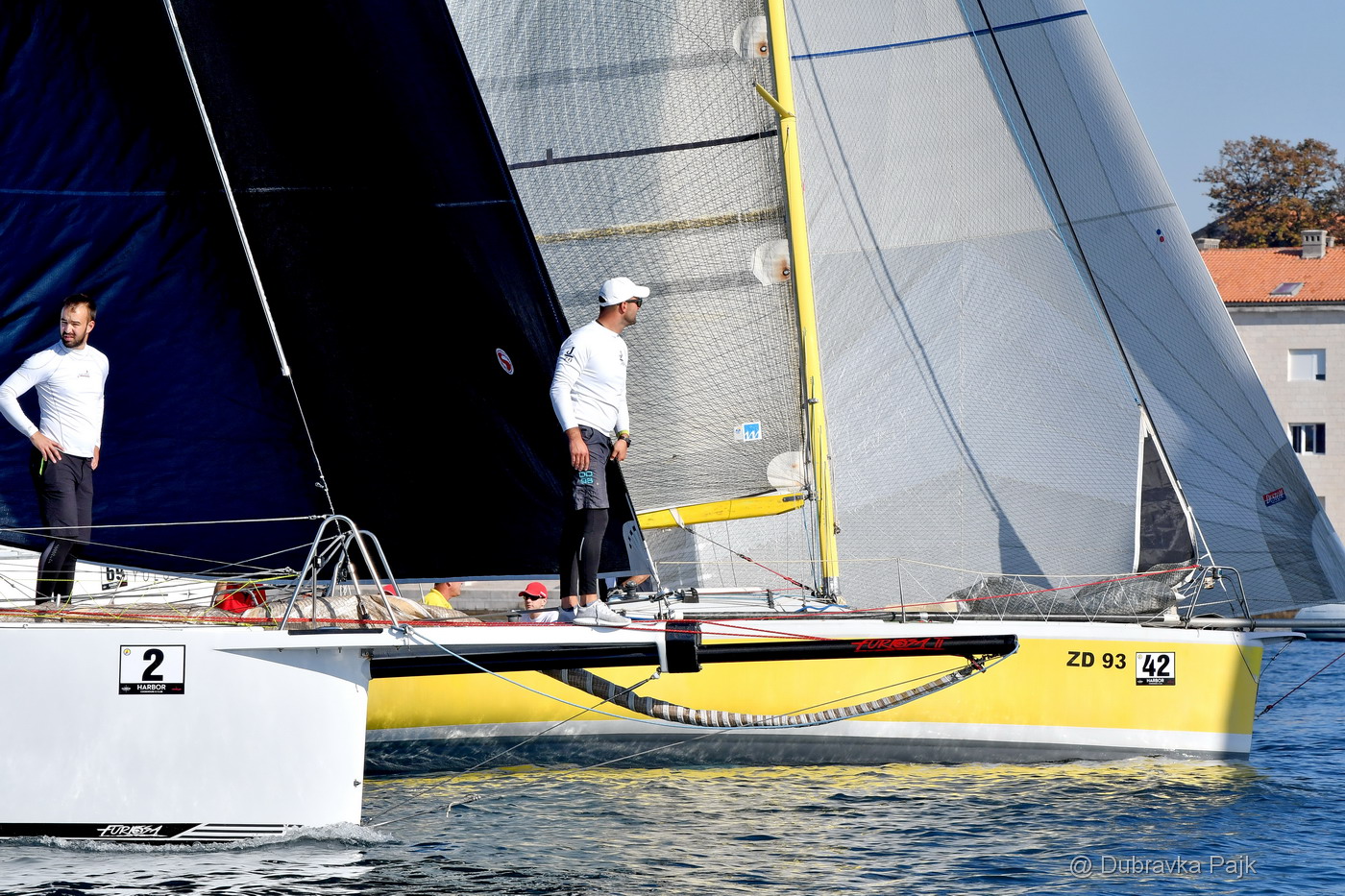 Sva lica “Zadarske koke” Sva lica “Zadarske koke”