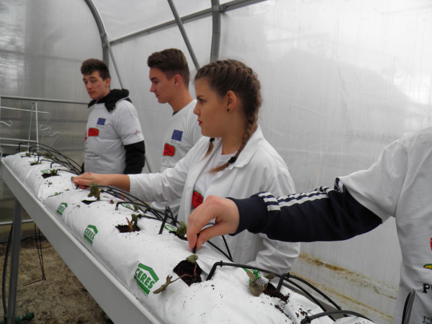 OLYMPUS DIGITAL CAMERA OLYMPUS DIGITAL CAMERA