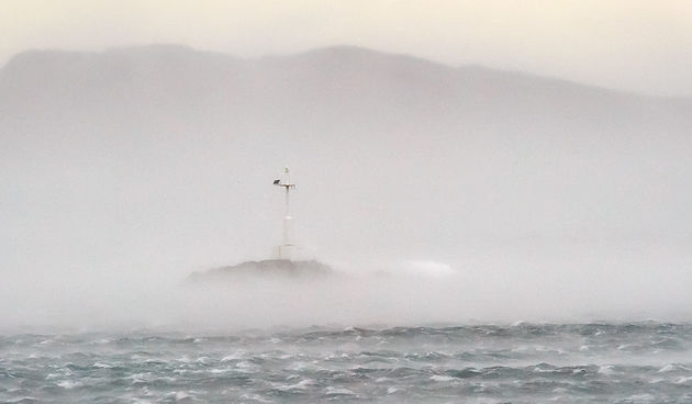 Bura, 26.10.2010. hrid Konj, foto: Ivan Toman