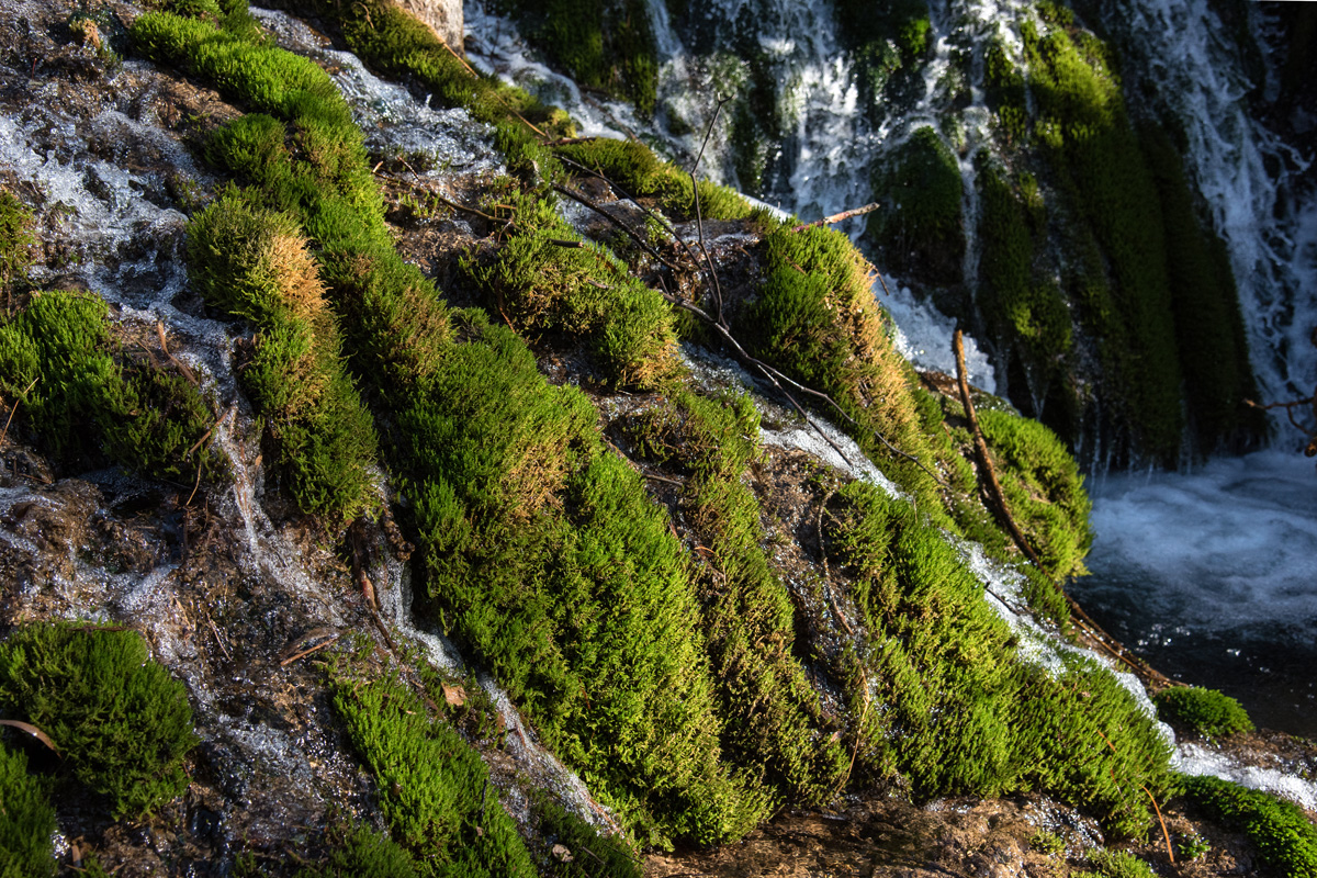 Rijeka Krupa i Kudin most