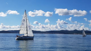 Zadarska Koka 2016. 22. listopada 2016. Foto: Mladen Malik Zadarska Koka 2016. 22. listopada 2016. Foto: Mladen Malik