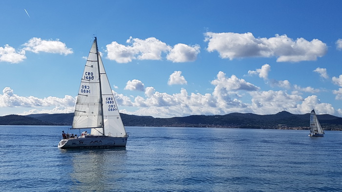 Zadarska Koka 2016. 22. listopada 2016. Foto: Mladen Malik Zadarska Koka 2016. 22. listopada 2016. Foto: Mladen Malik