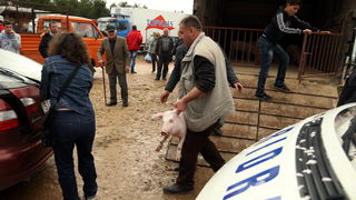 Benkovac, 100313.
Sajam u Benkovcu odrzava se svakog 10. dana u mjesecu. Stoljetna tradicija ucinila je od Benkovackog sajma neizostavni gospodarski i turisticki sadrzaj grada koji svaki put iznova iznenadjuje brojem posjetitelja koji preraste brojku od 1 Benkovac, 100313.
Sajam u Benkovcu odrzava se svakog 10. dana u mjesecu. Stoljetna tradicija ucinila je od Benkovackog sajma neizostavni gospodarski i turisticki sadrzaj grada koji svaki put iznova iznenadjuje brojem posjetitelja koji preraste brojku od 1