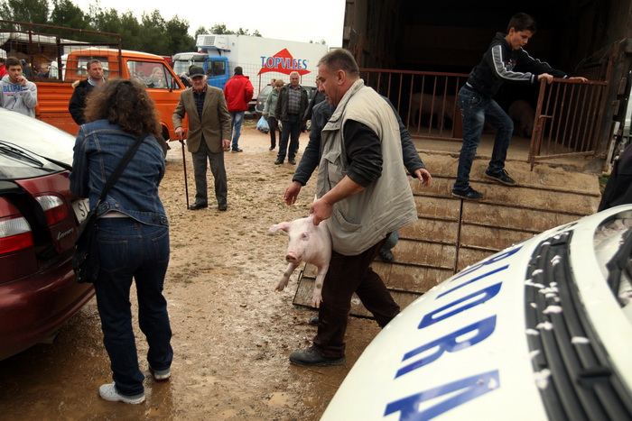 Benkovac, 100313.
Sajam u Benkovcu odrzava se svakog 10. dana u mjesecu. Stoljetna tradicija ucinila je od Benkovackog sajma neizostavni gospodarski i turisticki sadrzaj grada koji svaki put iznova iznenadjuje brojem posjetitelja koji preraste brojku od 1 Benkovac, 100313.
Sajam u Benkovcu odrzava se svakog 10. dana u mjesecu. Stoljetna tradicija ucinila je od Benkovackog sajma neizostavni gospodarski i turisticki sadrzaj grada koji svaki put iznova iznenadjuje brojem posjetitelja koji preraste brojku od 1