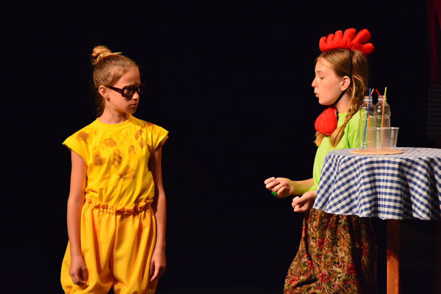 Premijera predstave Ružno pače u izvedbi radionice Donatolina