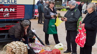 Benkovački sajam 10. travnja 2013, Foto: Leo Banić