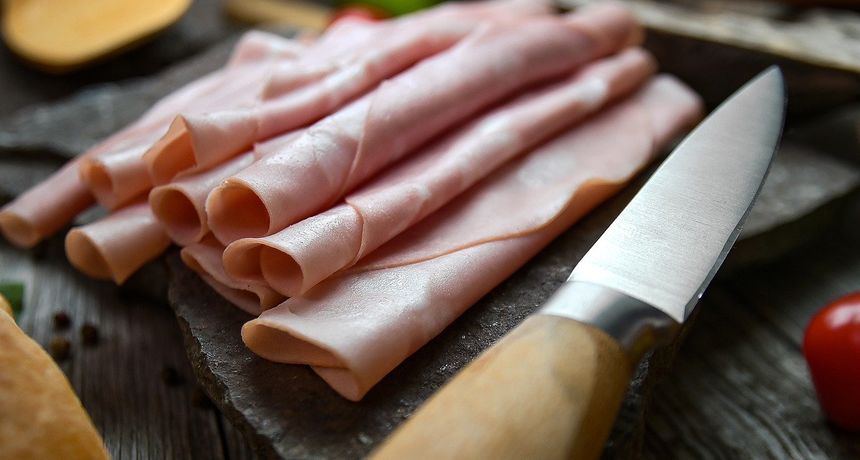 Šunka, salama Šunka, salama