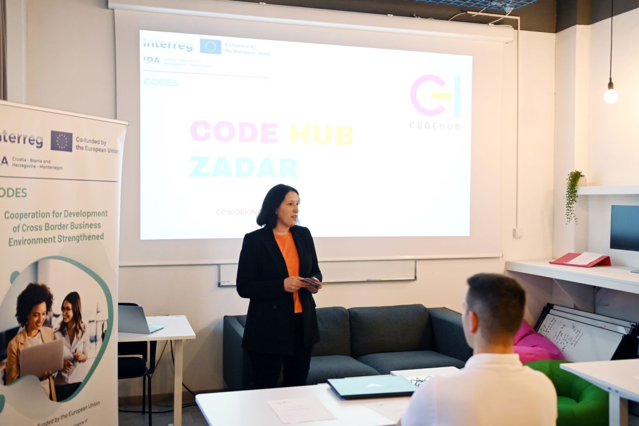 codehub (11)