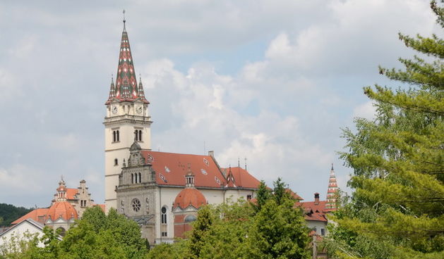 Hodocasce zupljana zupe Bl. Alojzija Stepinca u Krasic, Mariju Bistricu i zagreb, Foto: Darko Dilber