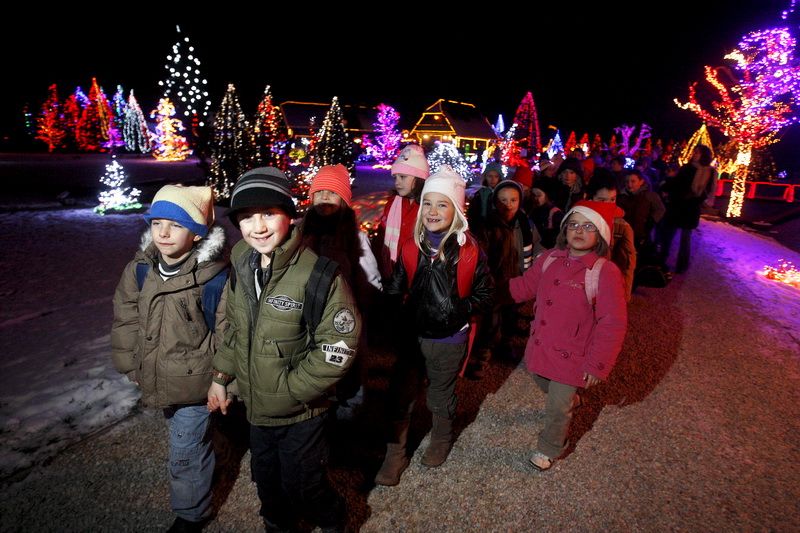 Cazma, 171210.
Grabovnica pokraj Cazme.
Imanje obitelji Salaj.
Predsjednica Vlade Jadranka Kosor svecano je upalila lampice na imanju obitelji Salaj u okviru Bozicne price u Cazmi.
Na imanju je ove godine upaljeno 1100000 lampica.
Prigodom otvorenja bio j