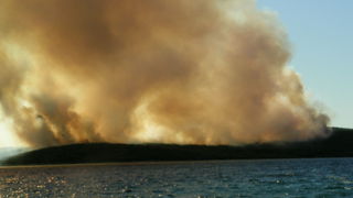 Image 1177177 (auto)