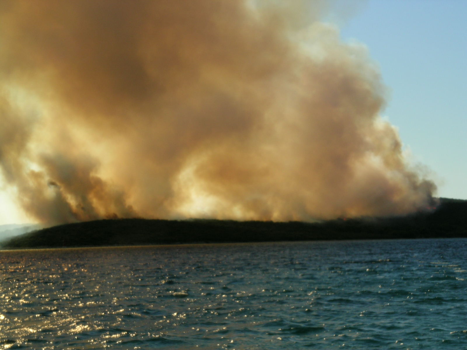 Image 1177177 (auto)