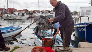 Ekološka akcija čišćenja podmorja u Bibinjama, foto: Leo Banić Ekološka akcija čišćenja podmorja u Bibinjama, foto: Leo Banić