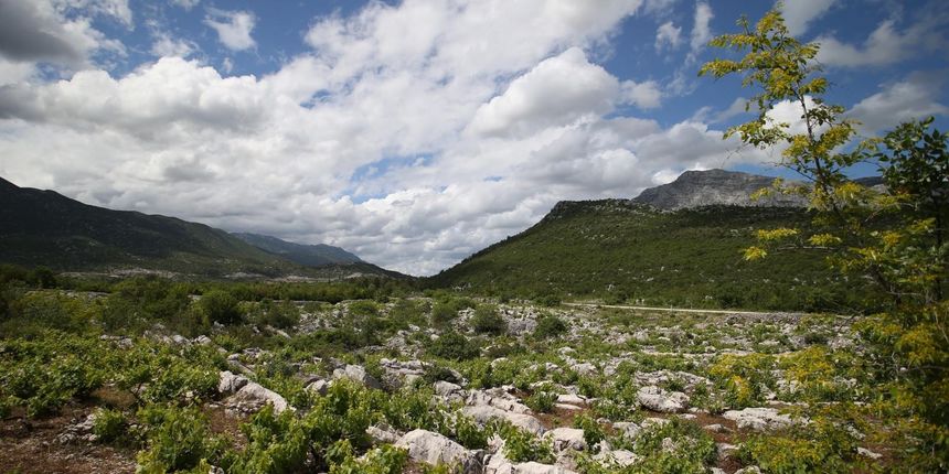 Dalmatinska Zagora Dalmatinska Zagora
