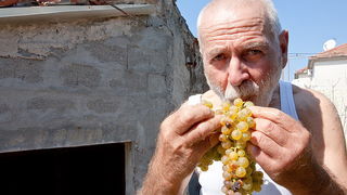 Priča o vinu: Od trsa do bačve, Foto: Leo Banić
