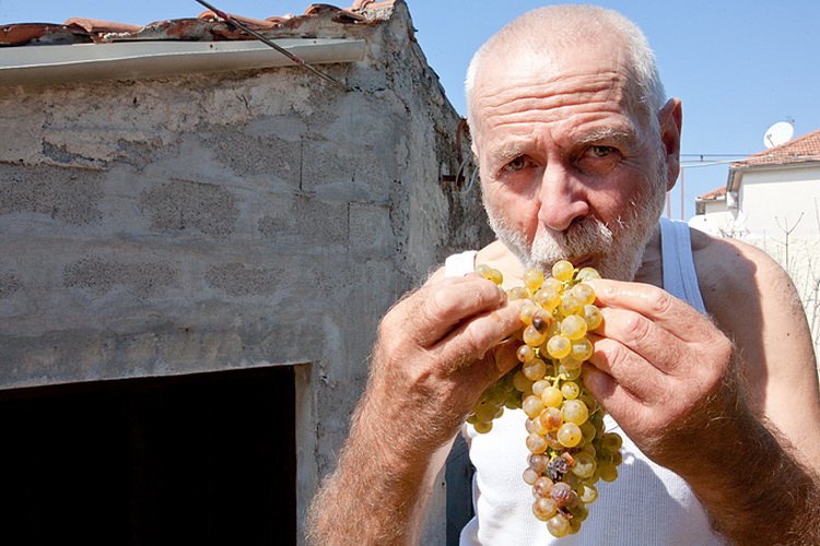 Priča o vinu: Od trsa do bačve, Foto: Leo Banić