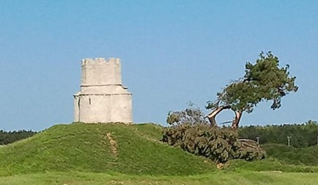 Bura oborila bor uz crkvu Sv. Nikole, foto-radio zd