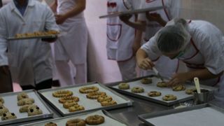 U Zadru po treći put održano Državno natjecanje u sektoru poljoprivreda, prehrana, veterina