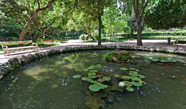 Svečano predstavljanje dijelova Perivoja “Vladimira Nadzora” u sklopu EU projekta “Zeleni otoci, foto: Nasadi Zadar