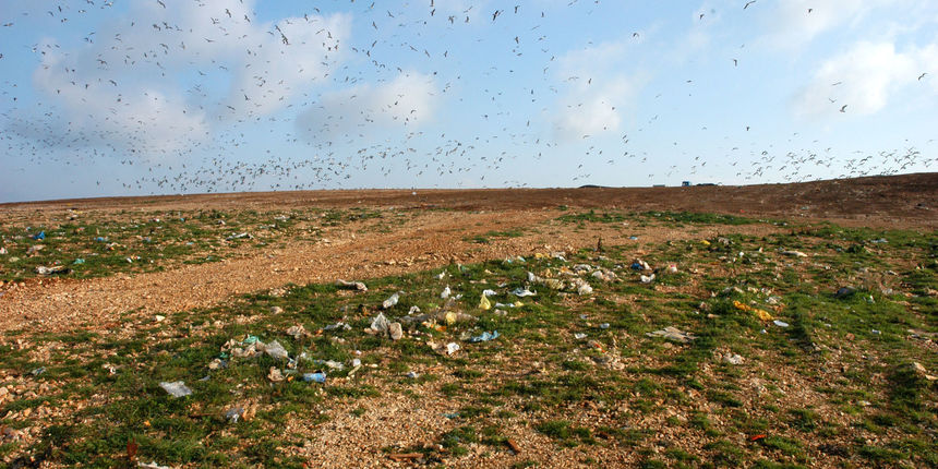 Image 1203997 (auto)