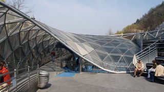 Image 1199601 (auto)